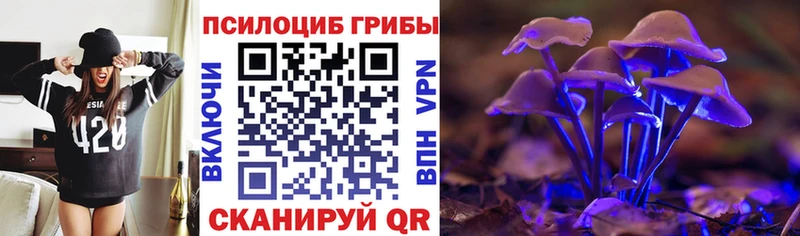 МЕГА ТОР  Людиново  Псилоцибиновые грибы Psilocybe 